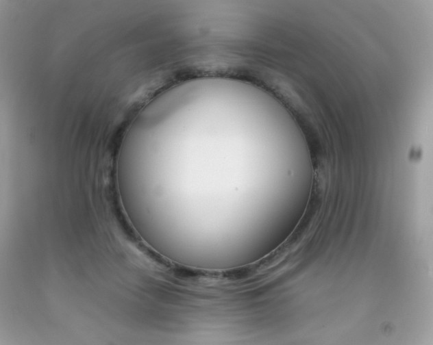 X0000092250458200709141009
