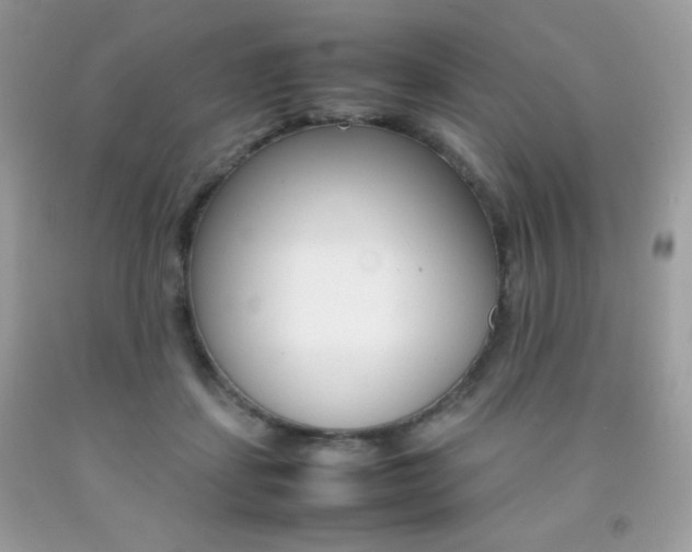 X0000092250459200709141009
