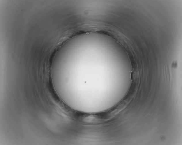 X0000092250460200709141009