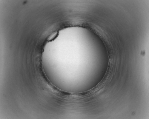 X0000092250462200709141009