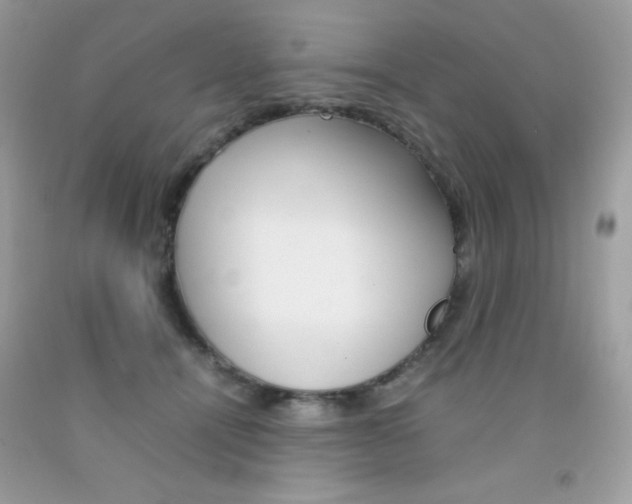 X0000092250464200709141009