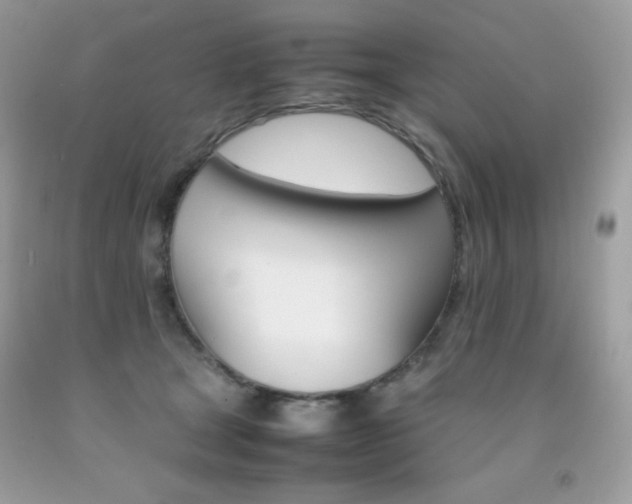 X0000092250465200709141009