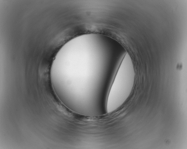 X0000092250466200709141009