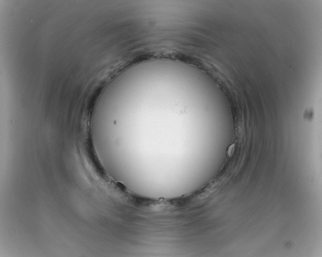 X0000092250468200709141009
