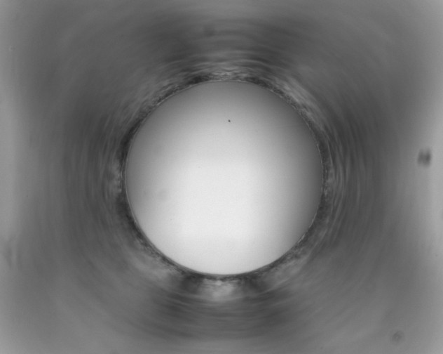 X0000092250469200709141009