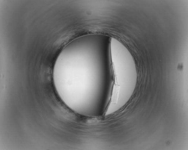 X0000092250470200709141009