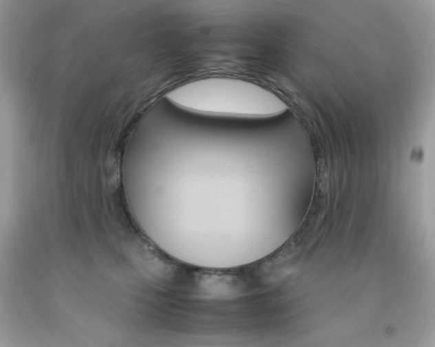 X0000092250471200709141009