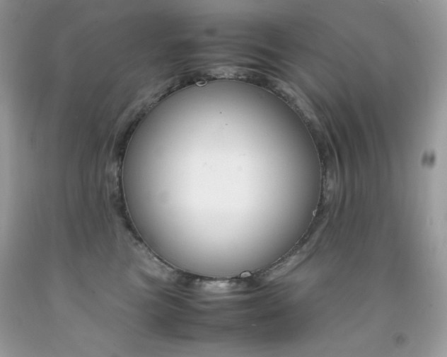 X0000092250473200709141009
