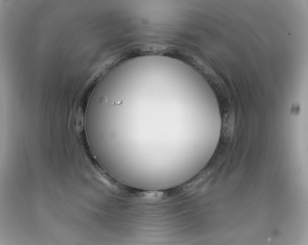 X0000092250474200709141009