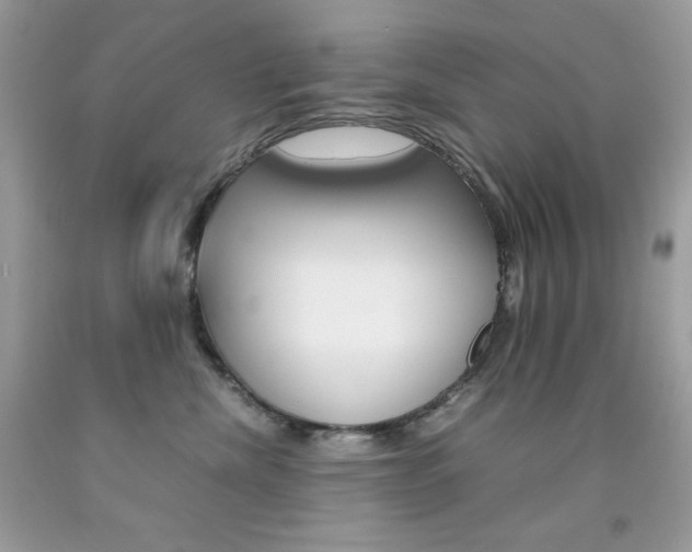 X0000092250476200709141009