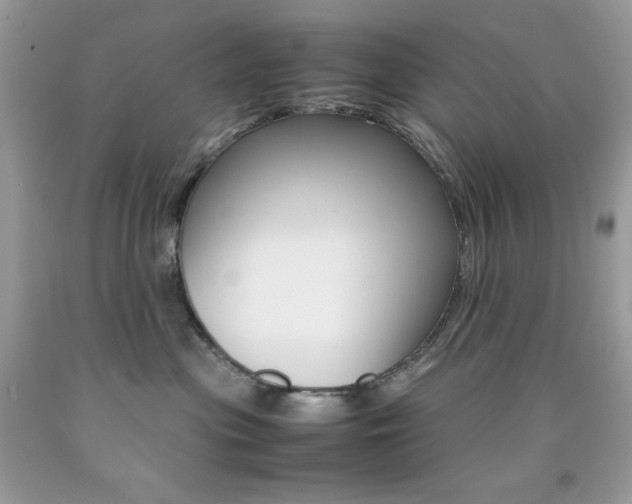 X0000092250477200709141009