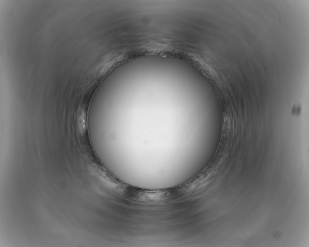 X0000092250479200709141009