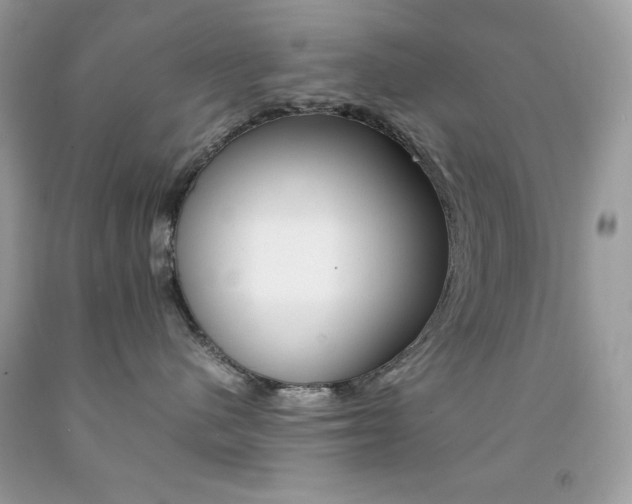 X0000092250480200709141009