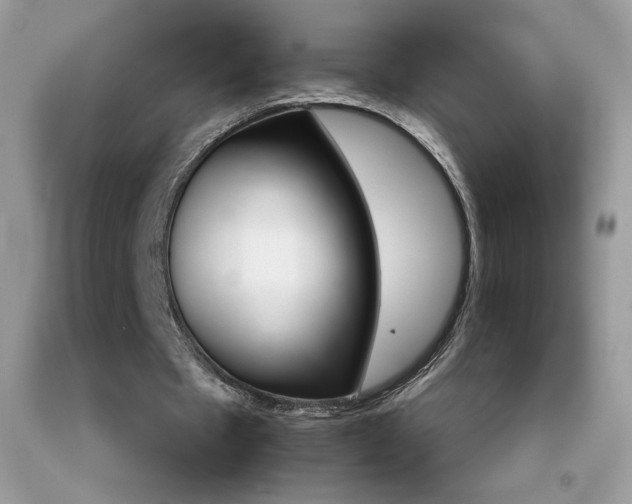 X0000092250481200709141008