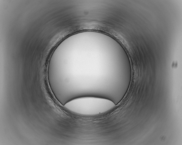 X0000092250482200709141008