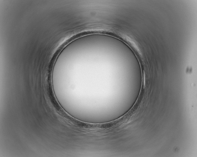 X0000092250483200709141008