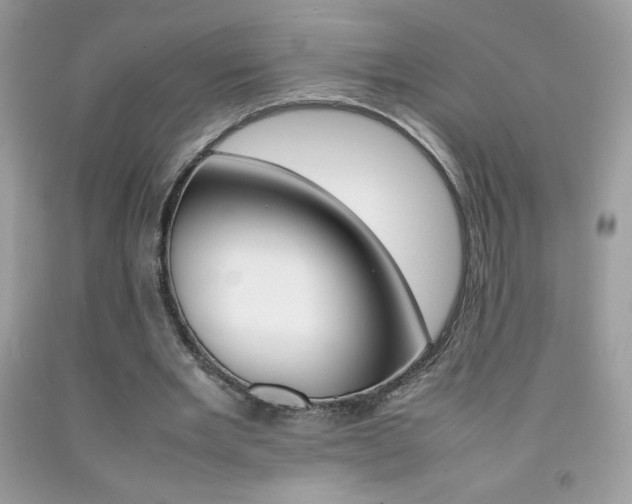X0000092250485200709141008