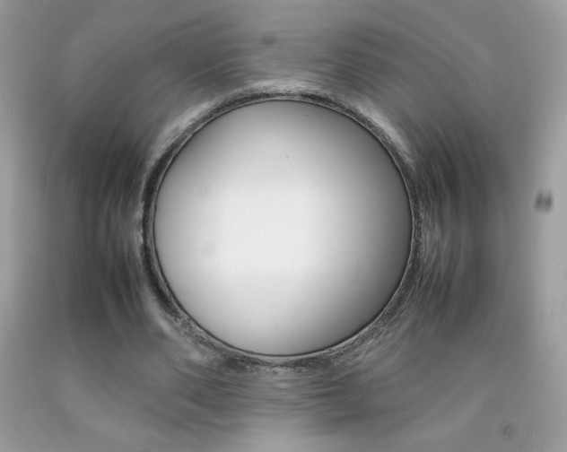 X0000092250486200709141008