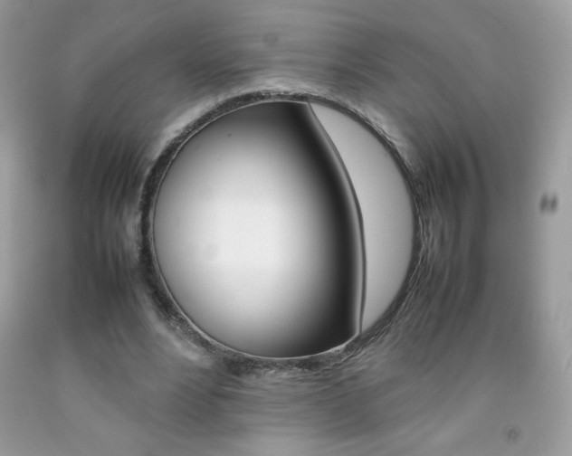 X0000092250488200709141008