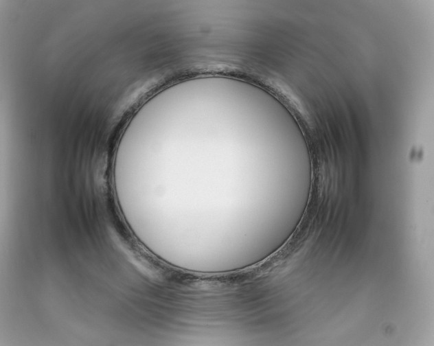 X0000092250490200709141008