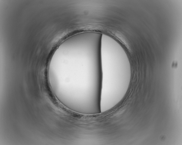 X0000092250491200709141008