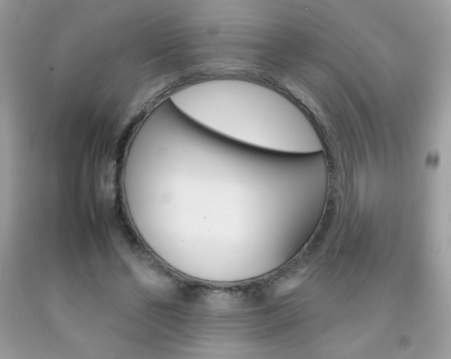 X0000092250494200709141008