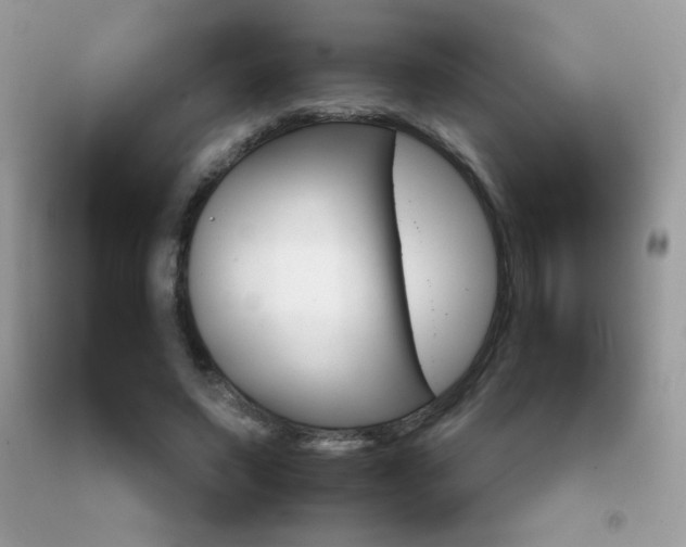 X0000092250495200709141008