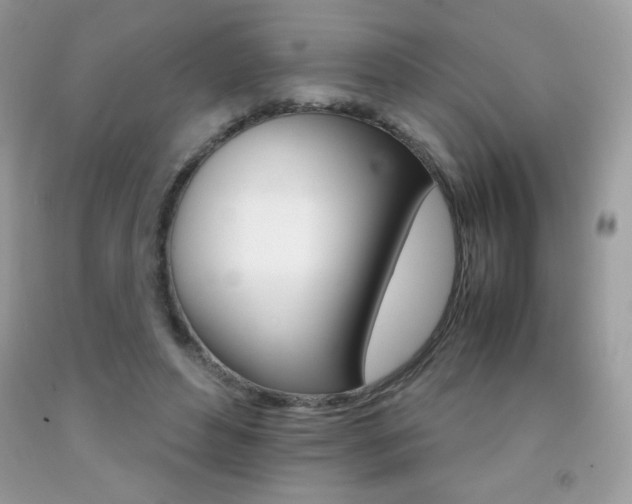 X0000092250496200709141008