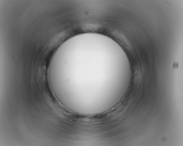 X0000092250498200709141008