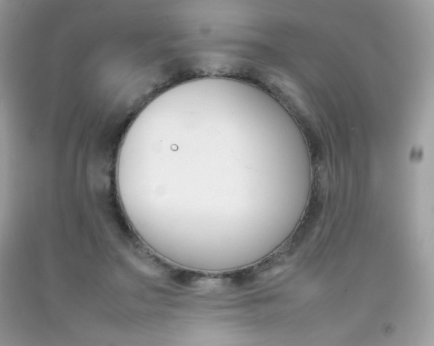 X0000092250499200709141008