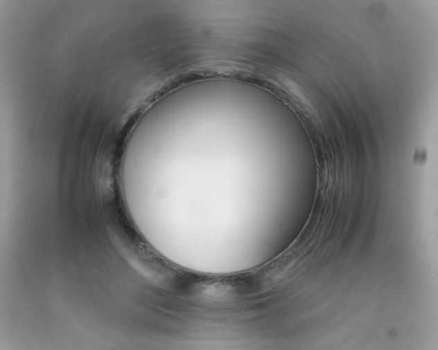 X0000092250500200709141008