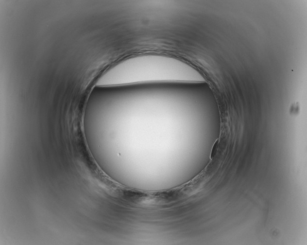 X0000092250504200709141008