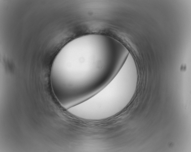 X0000092250505200709141008