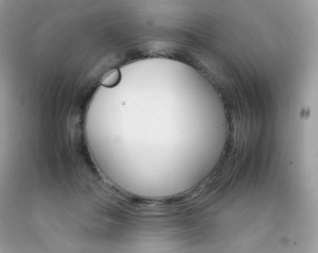 X0000092250506200709141008