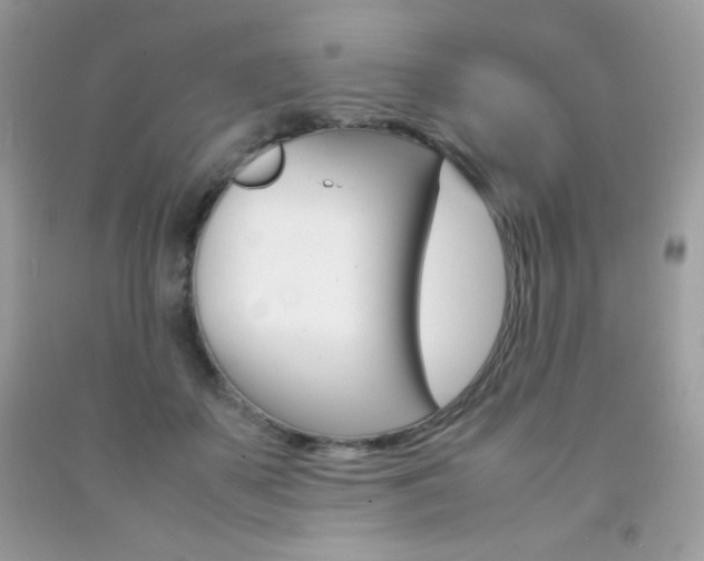 X0000092250507200709141008