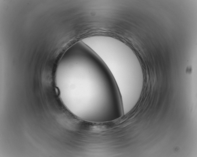 X0000092250508200709141008