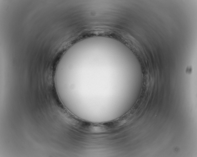 X0000092250510200709141008