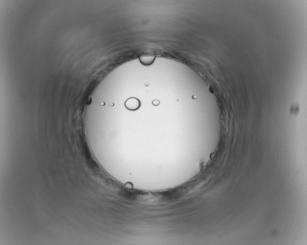 X0000092250511200709141008
