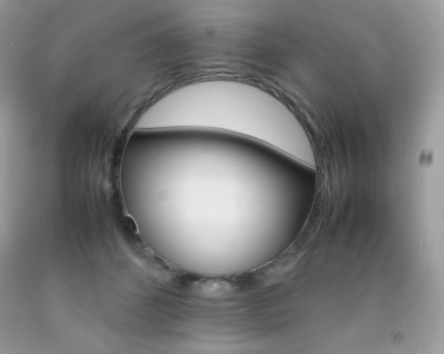 X0000092250512200709141008