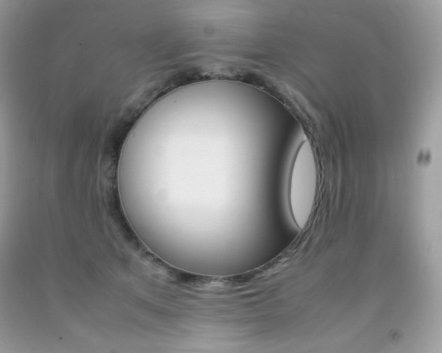 X0000092250513200709141008