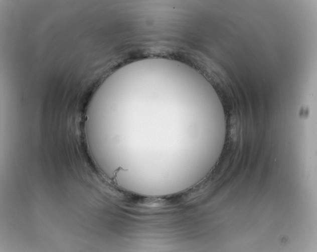 X0000092250514200709141008