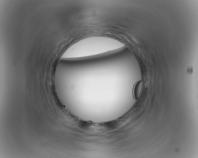 X0000092250515200709141008