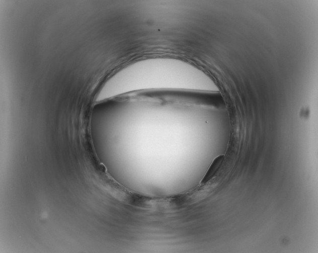 X0000092250516200709141008