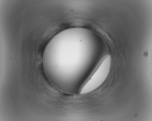 X0000092250517200709141008