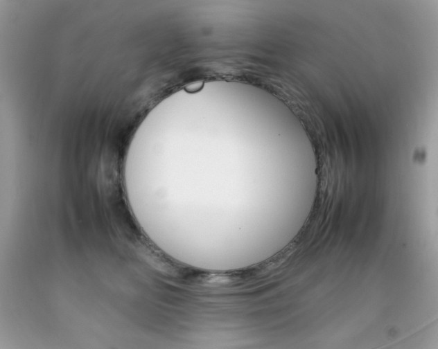 X0000092250518200709141008