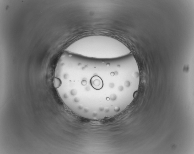 X0000092250519200709141008
