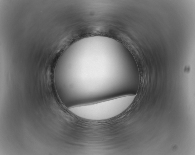 X0000092250520200709141008
