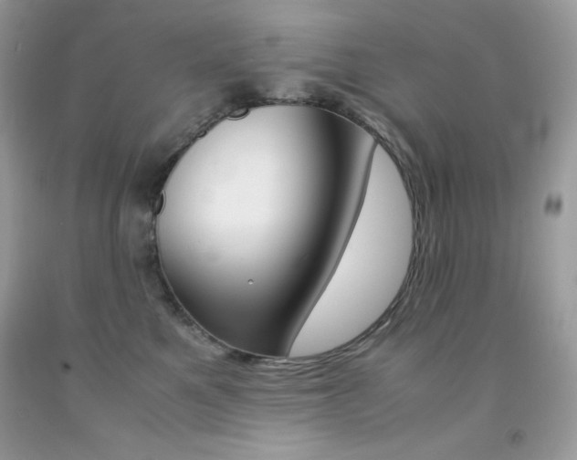 X0000092250521200709141008