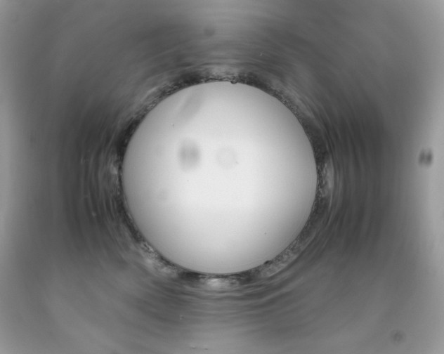 X0000092250522200709141008