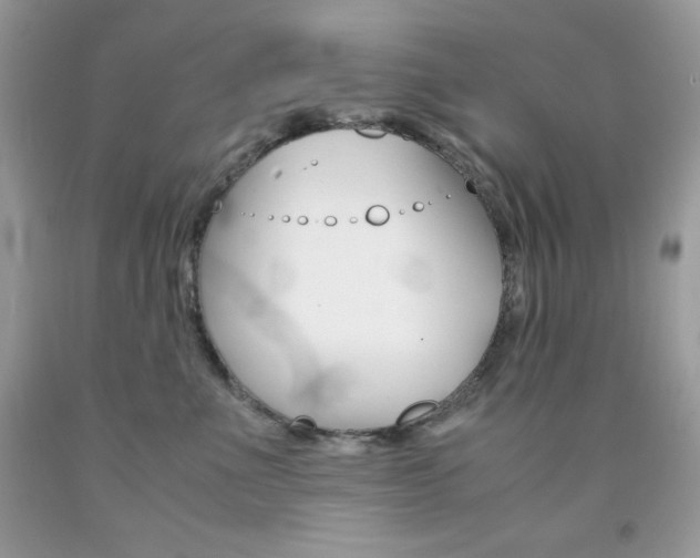 X0000092250523200709141008
